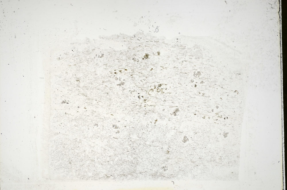 Plane Polarized, S84708