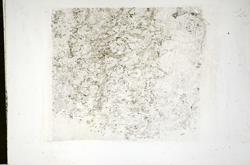 Plane Polarized, S84710