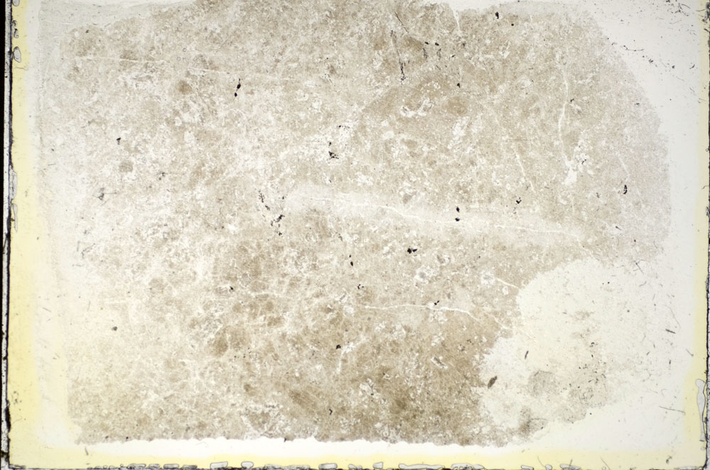Plane Polarized, S84731