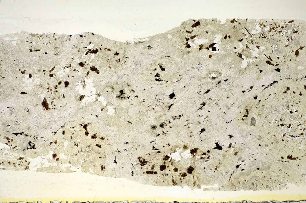 Plane Polarized, S84743