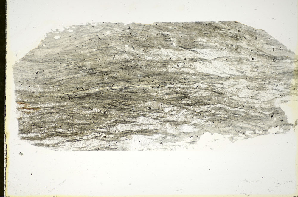 Plane Polarized, S84748