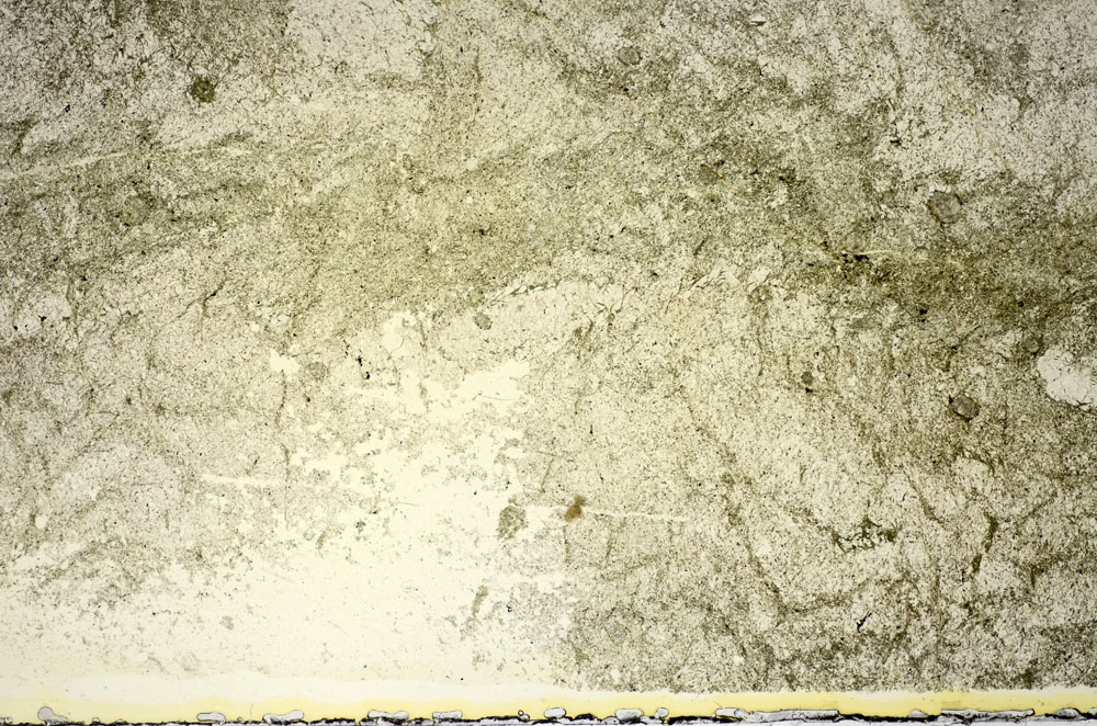 Plane Polarized, S84759