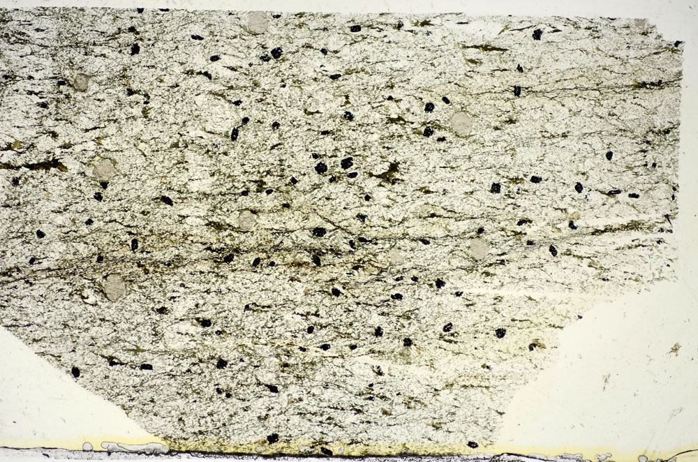 Plane Polarized, S84761