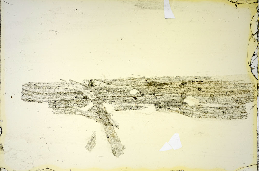 Plane Polarized, S84764