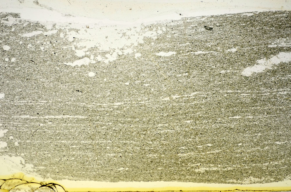 Plane Polarized, S84765