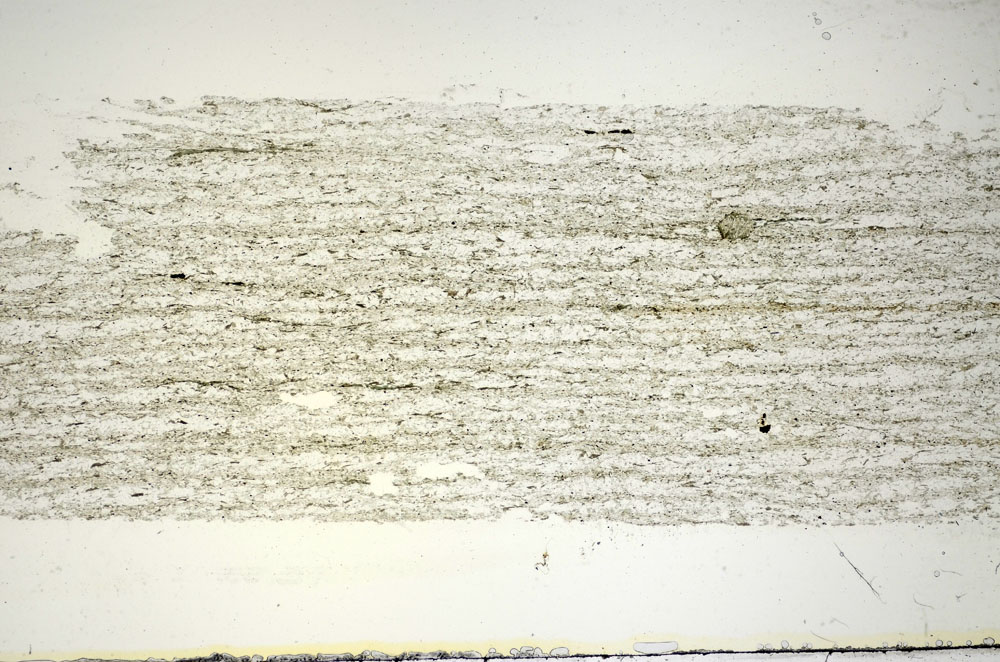 Plane Polarized, S84774