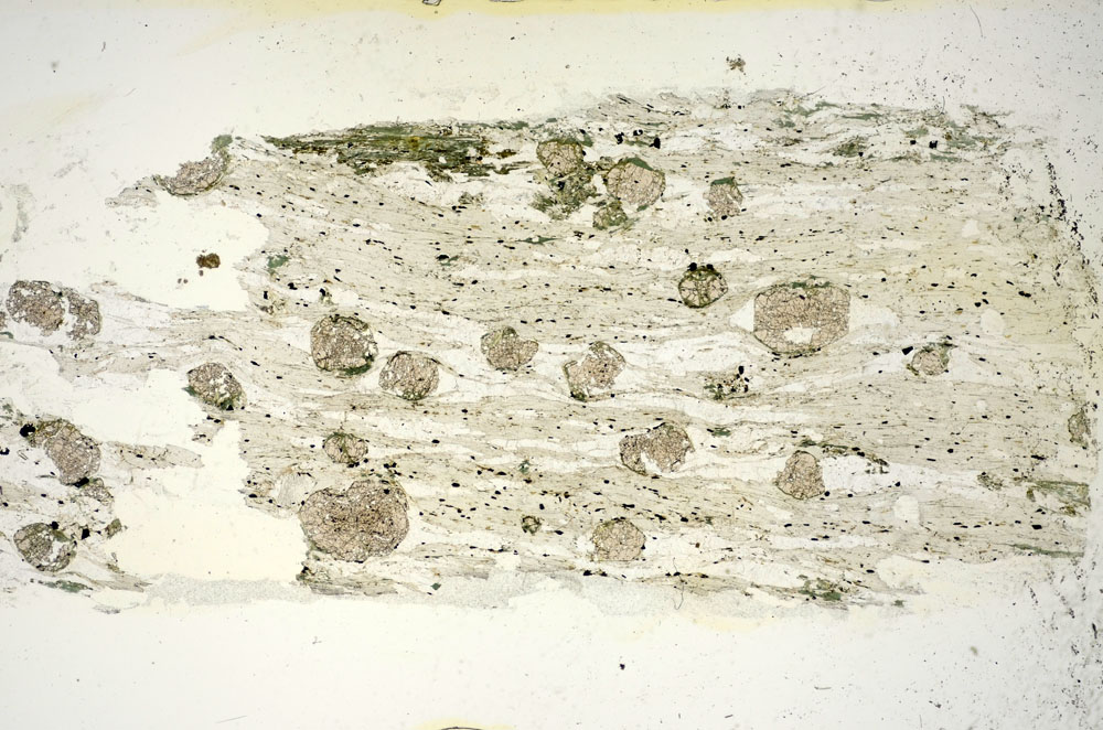 Plane Polarized, S84783