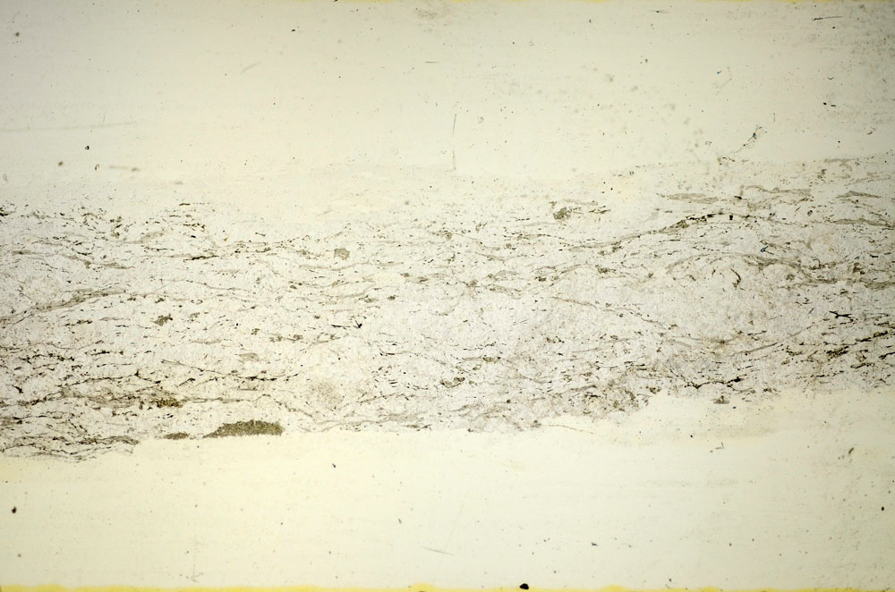 Plane Polarized, S84784