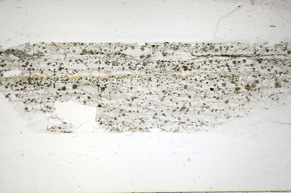 Plane Polarized, S84799