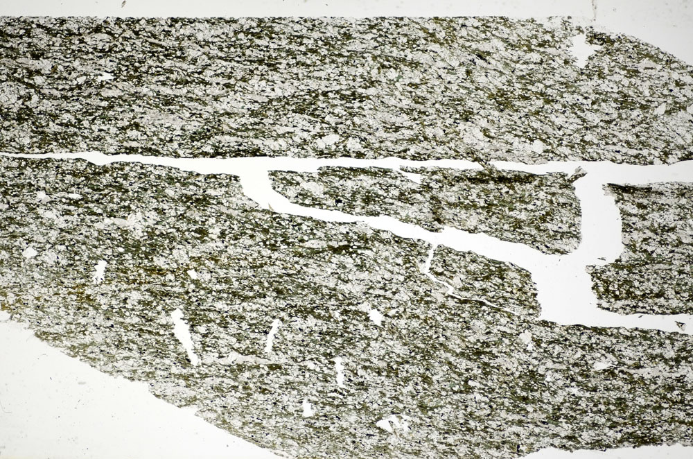 Plane Polarized, S84804