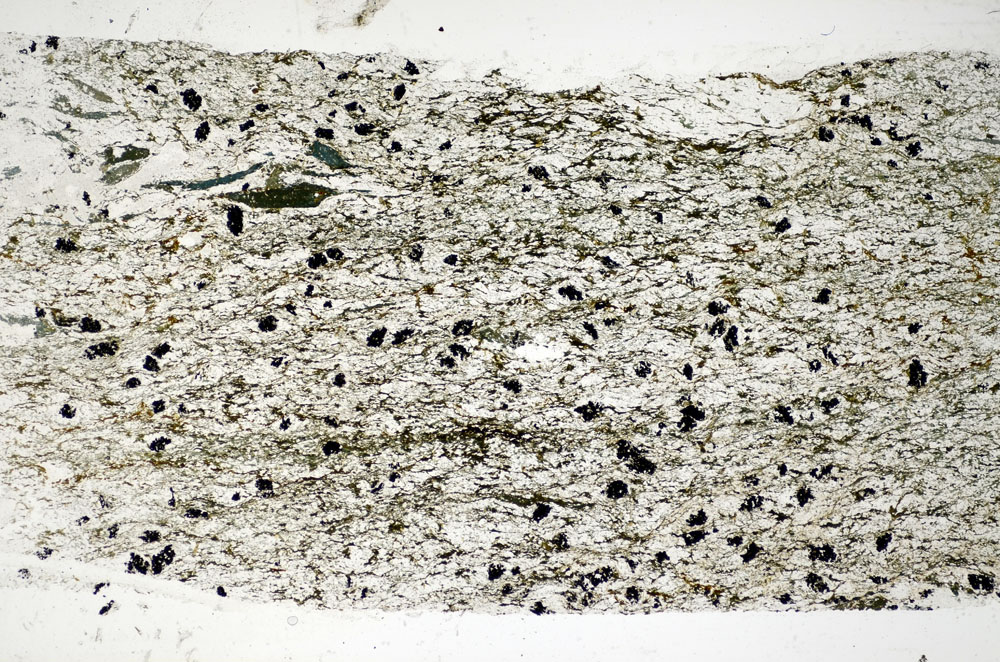 Plane Polarized, S84808
