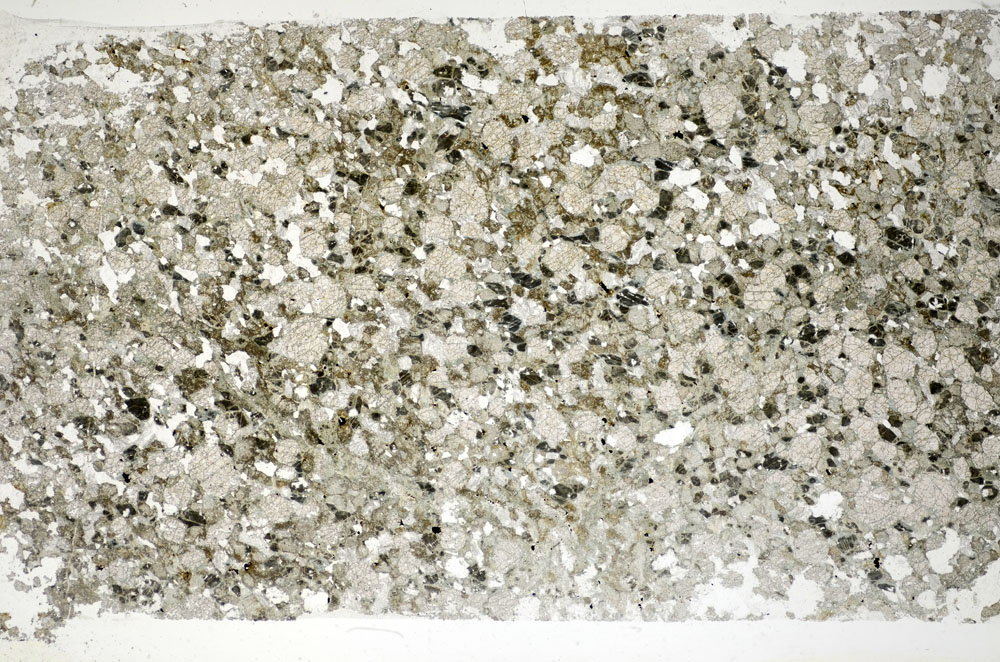 Plane Polarized, S84827