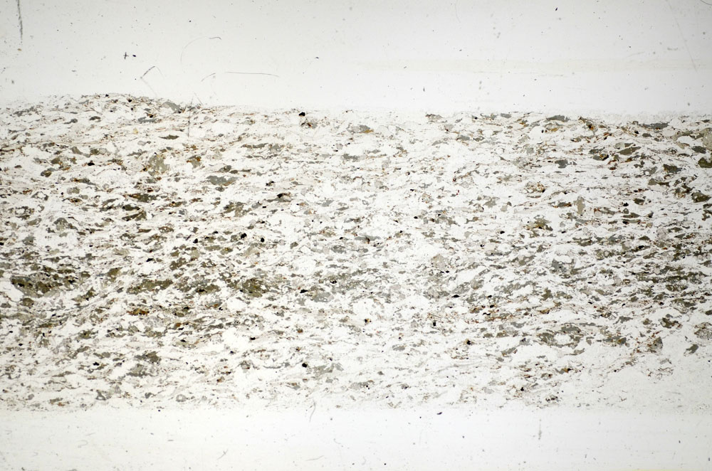 Plane Polarized, S84828