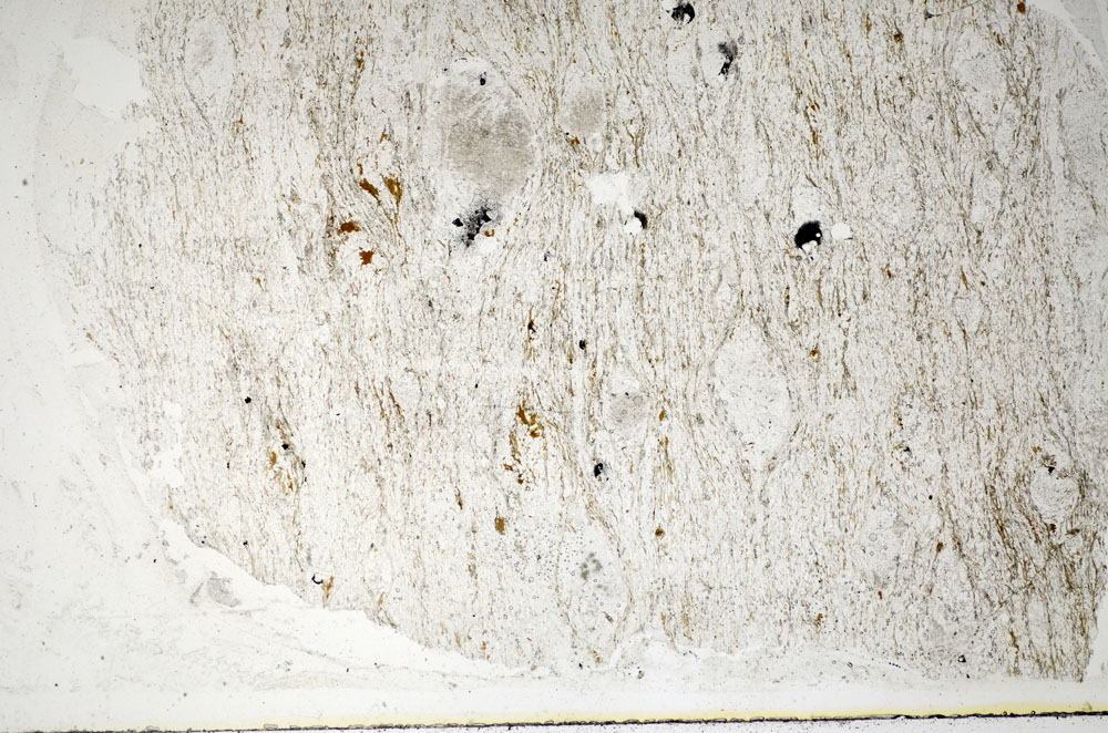 Plane Polarized, S84832