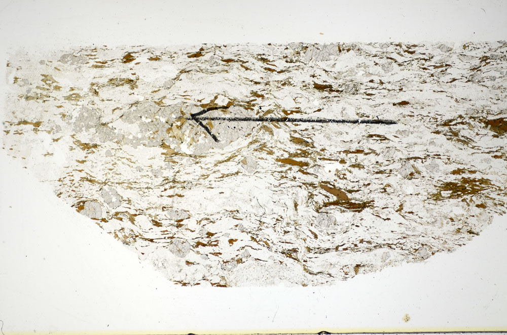 Plane Polarized, S84856