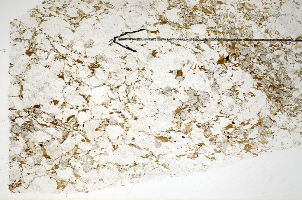 Plane Polarized, S84859