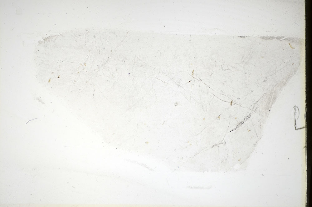 Plane Polarized, S84860