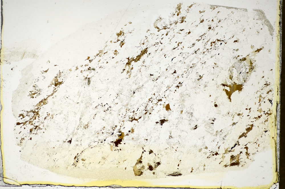 Plane Polarized, S84866