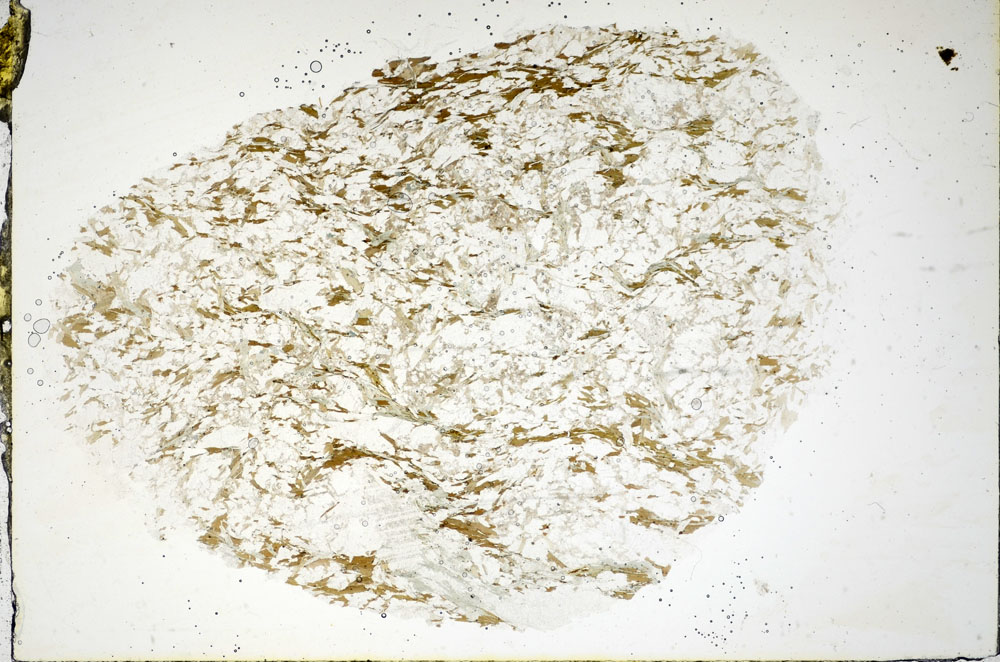 Plane Polarized, S84867