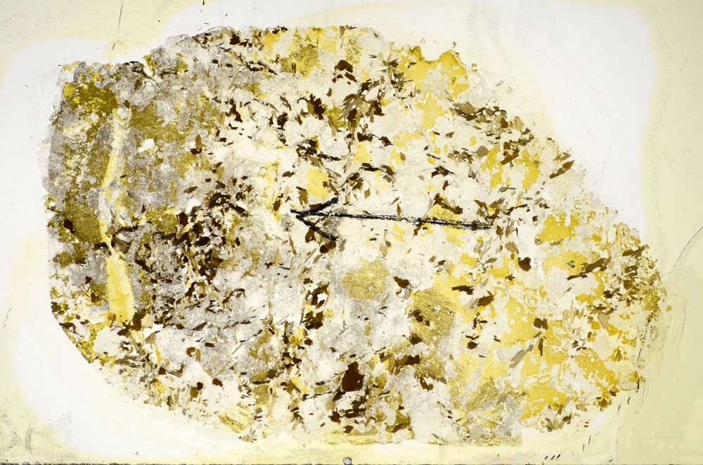 Plane Polarized, S84870