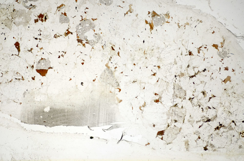 Plane Polarized, S84872