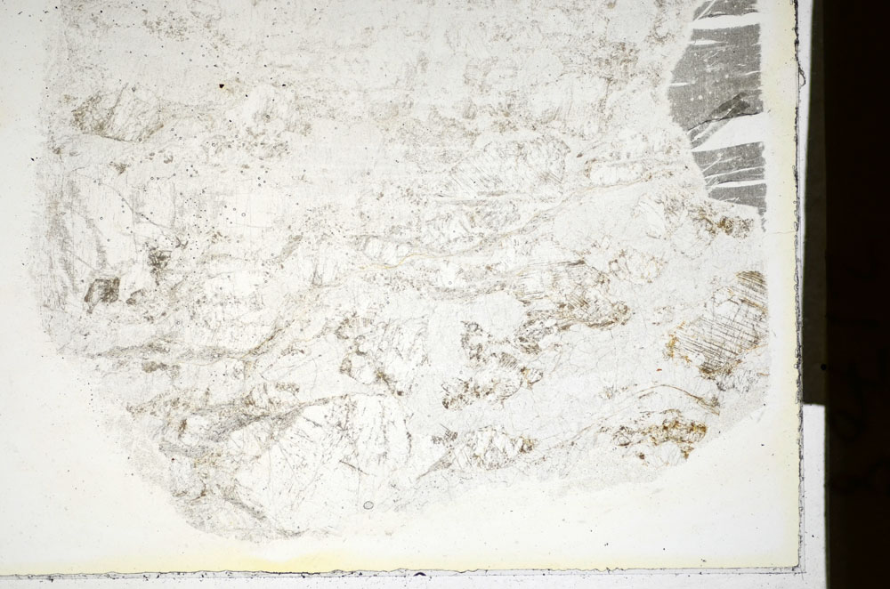 Plane Polarized, S84874