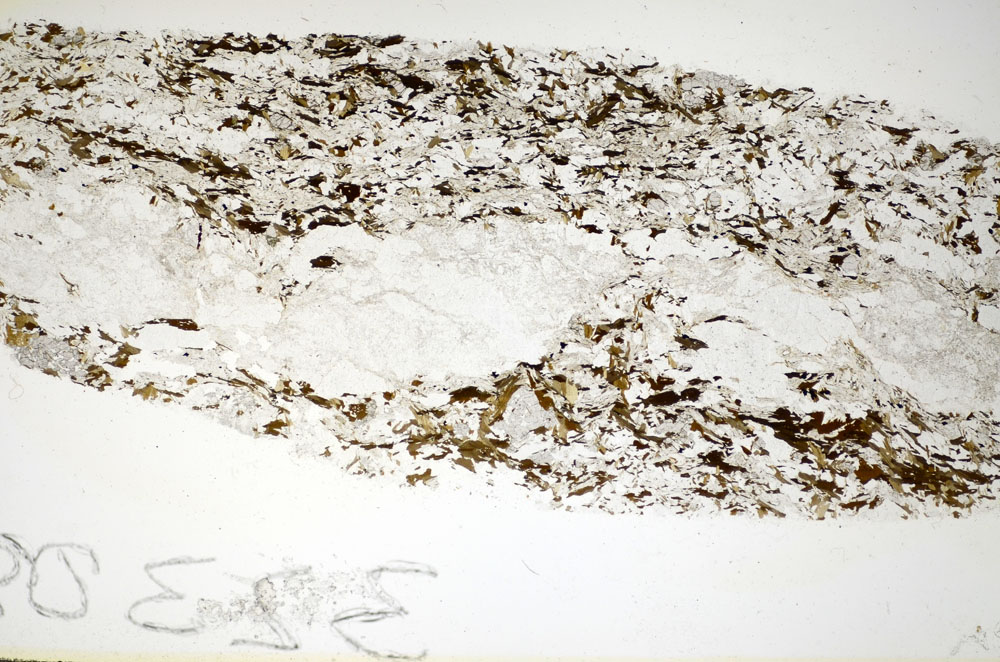 Plane Polarized, S84875