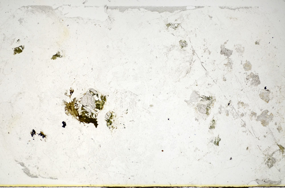 Plane Polarized, S84877