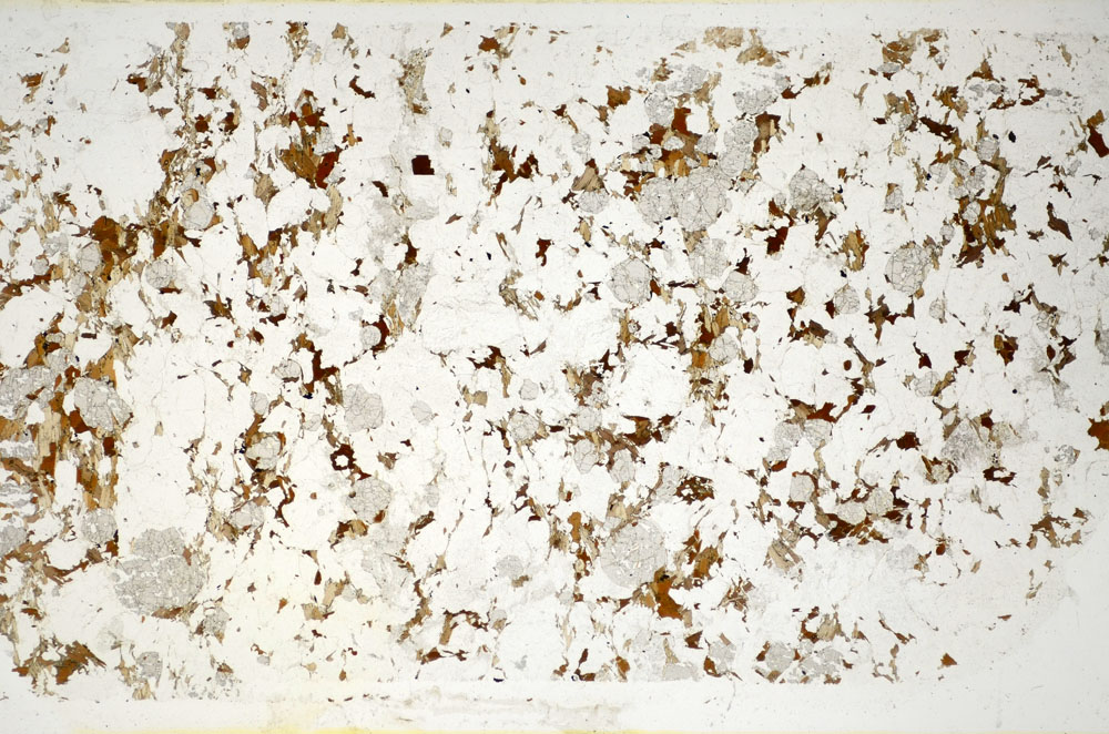 Plane Polarized, S84878