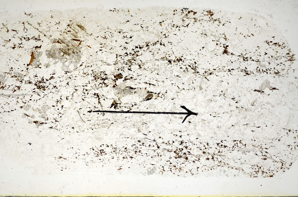 Plane Polarized, S84880