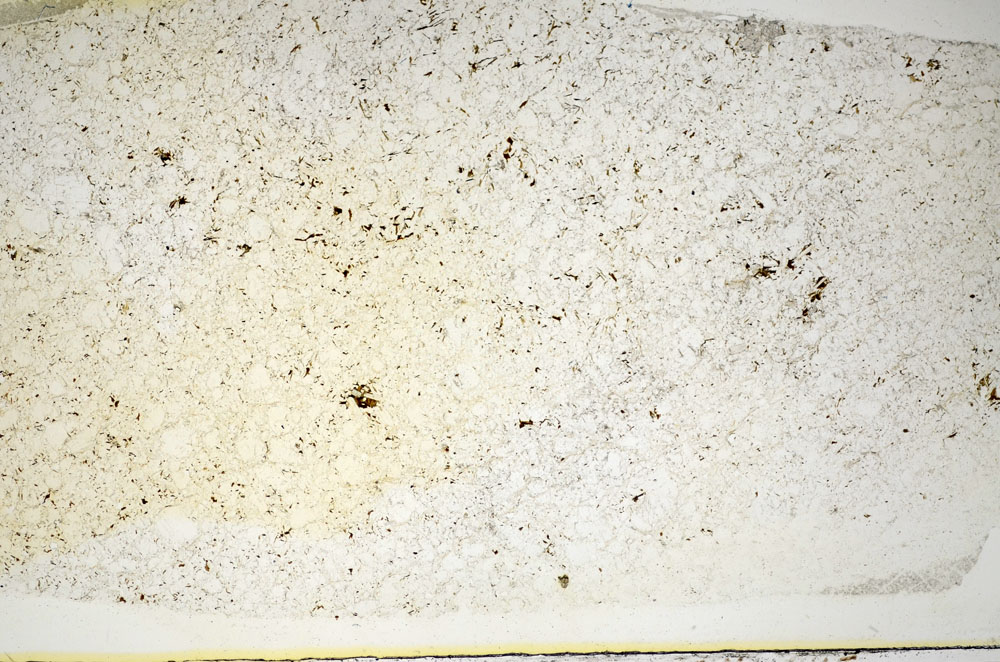 Plane Polarized, S84881