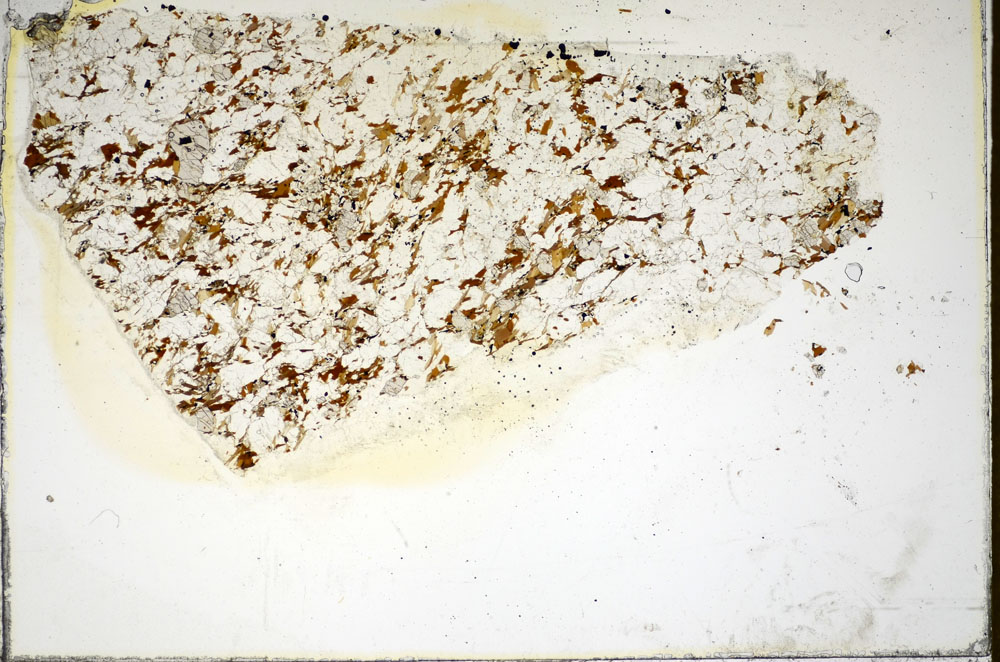 Plane Polarized, S84882