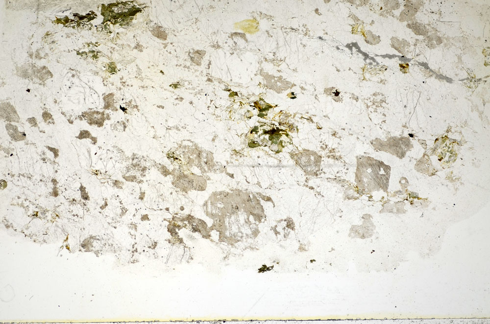 Plane Polarized, S84885