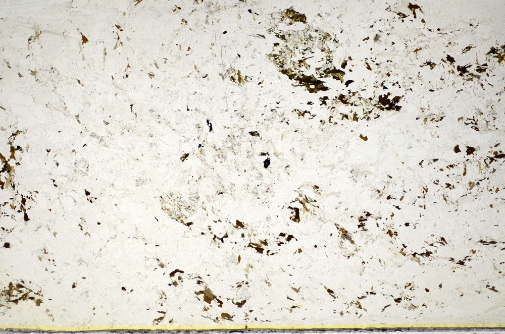 Plane Polarized, S84892