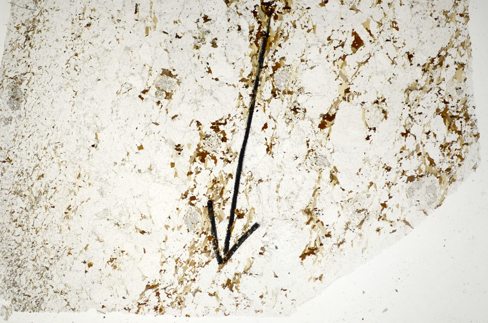 Plane Polarized, S84898