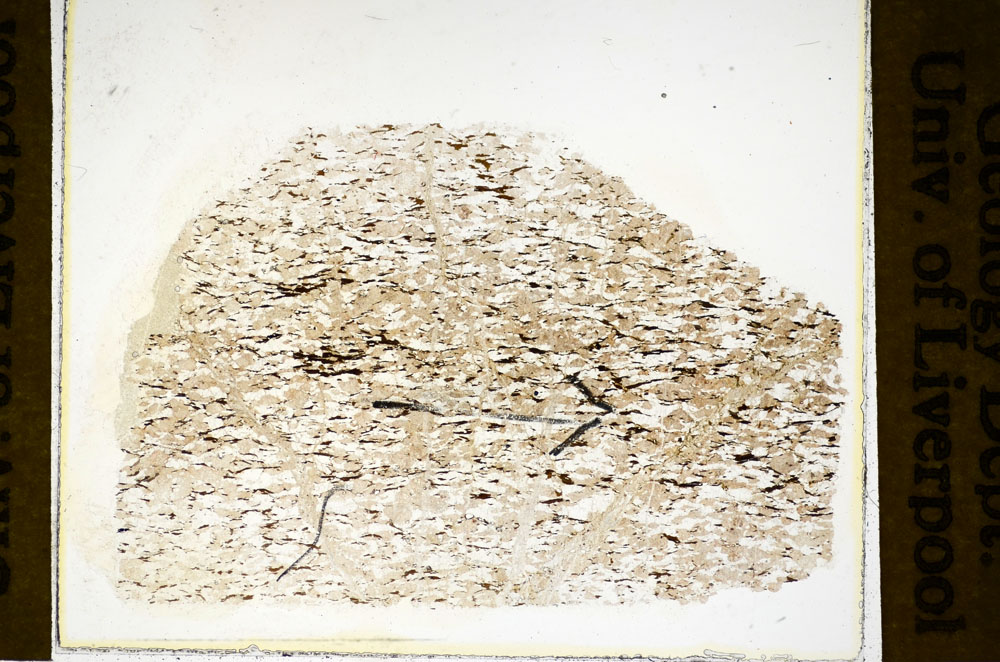 Plane Polarized, S84899