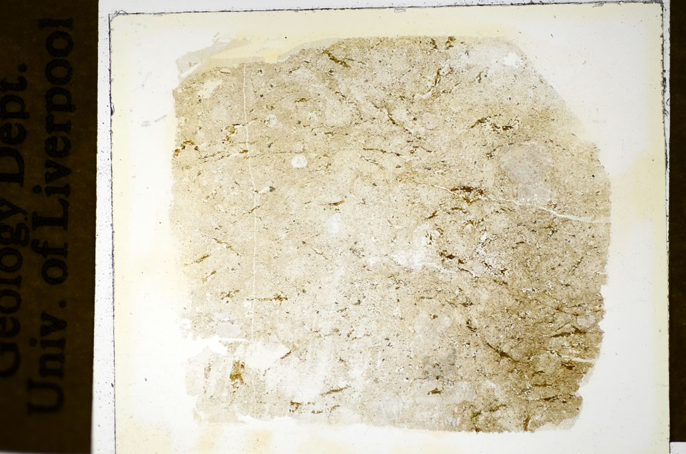 Plane Polarized, S84901