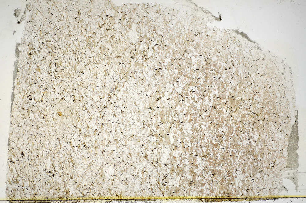 Plane Polarized, S84906