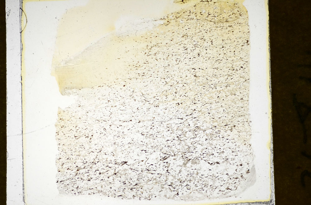 Plane Polarized, S84914