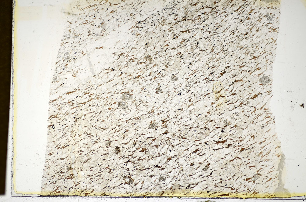 Plane Polarized, S84916