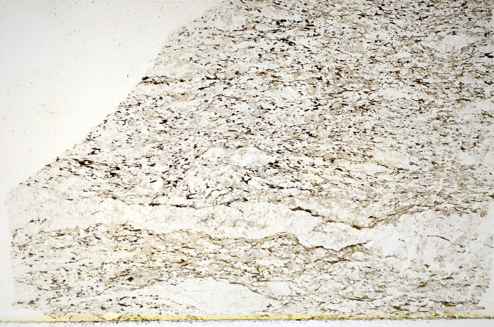 Plane Polarized, S84919