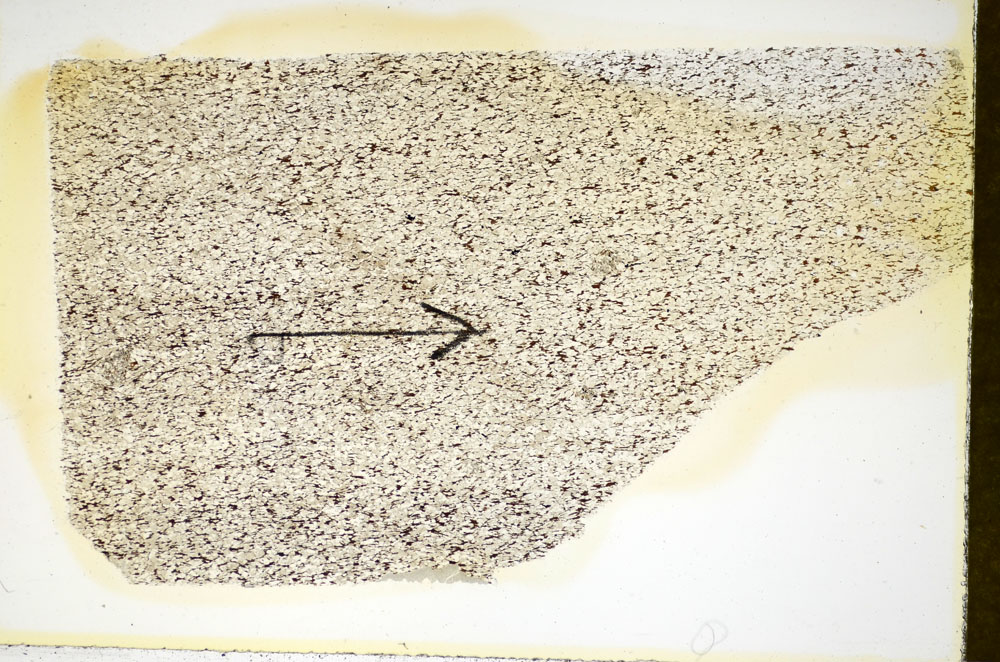 Plane Polarized, S84921