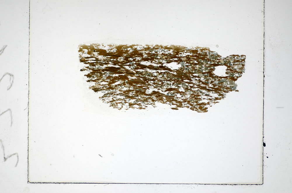 Plane Polarized, S84923