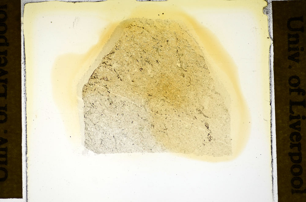 Plane Polarized, S84924