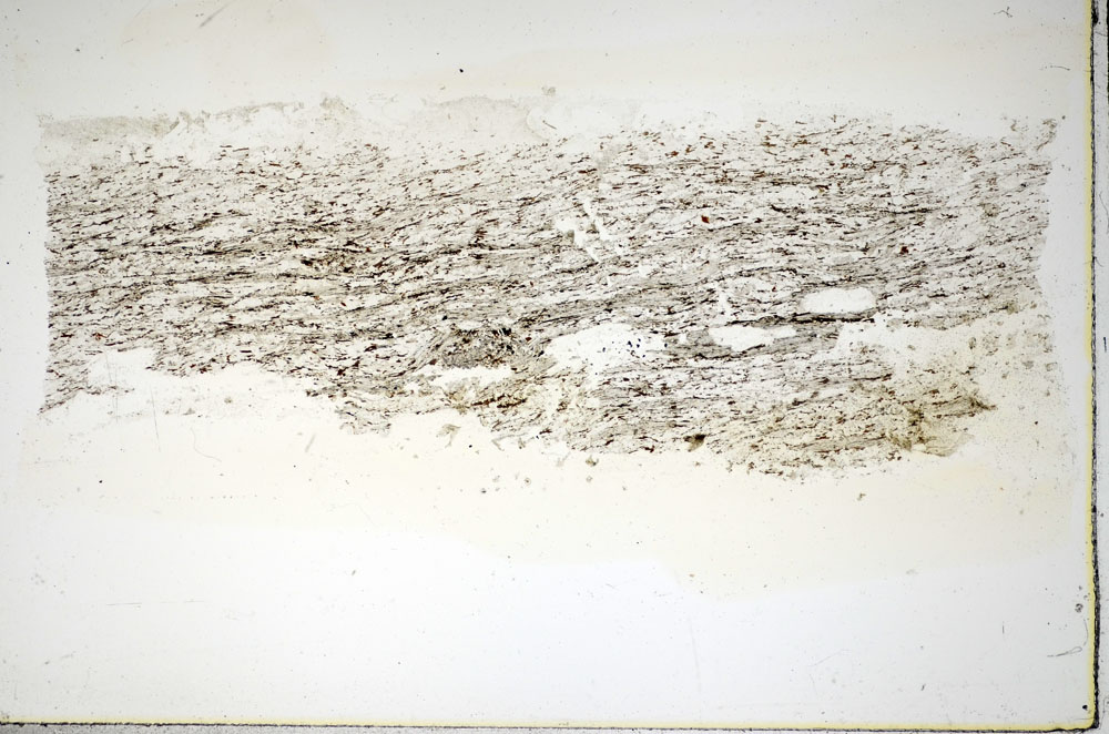 Plane Polarized, S84925