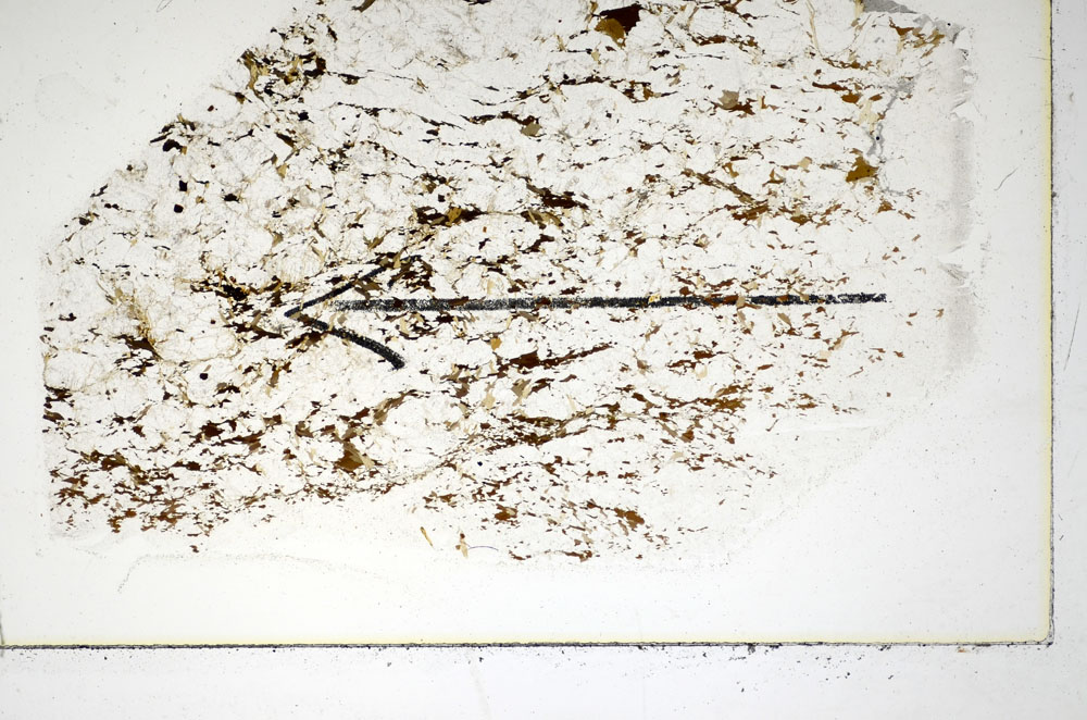 Plane Polarized, S84932