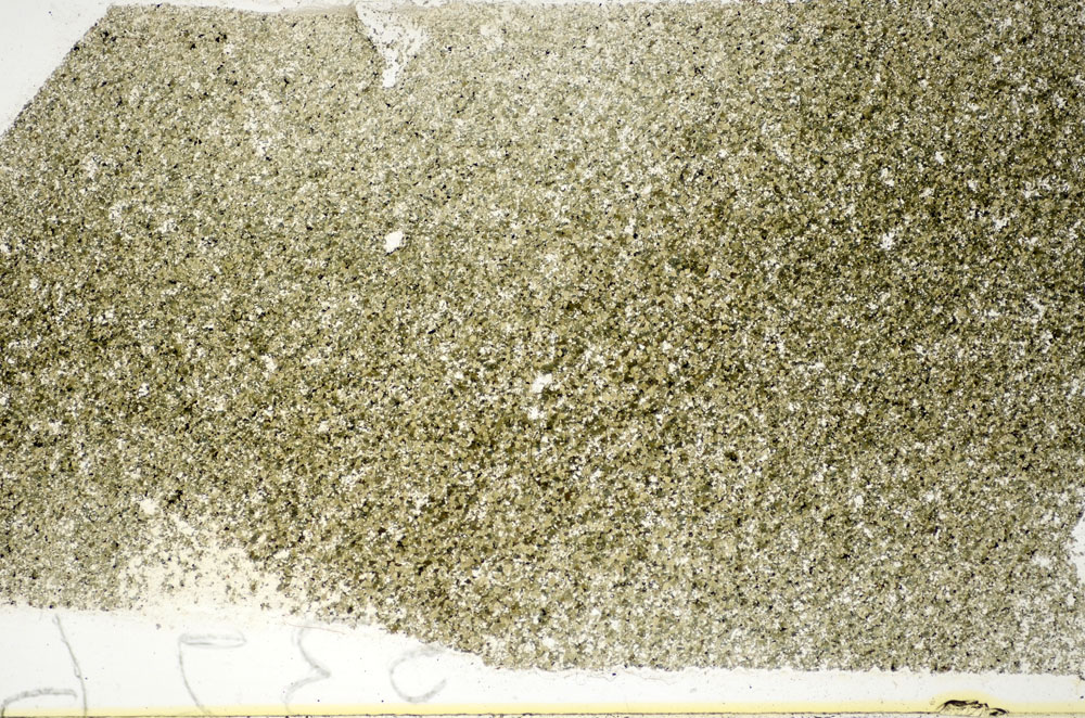 Plane Polarized, S84934