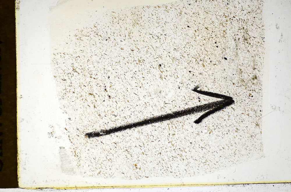Plane Polarized, S84938