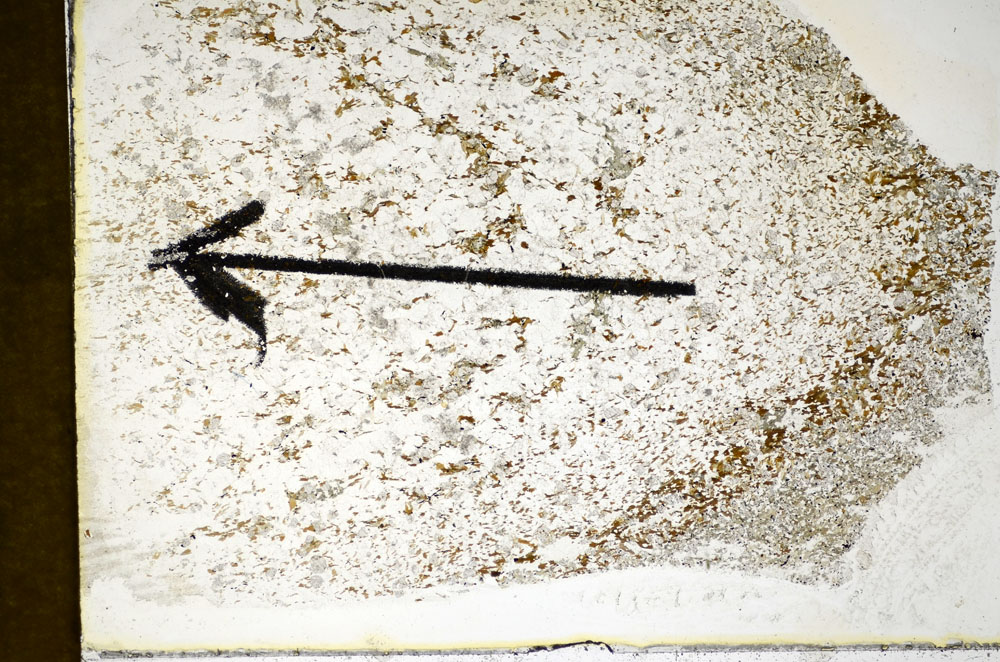 Plane Polarized, S84942