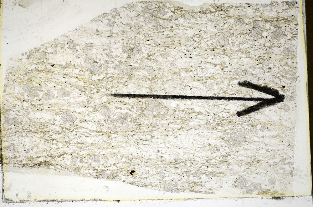 Plane Polarized, S84943